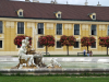 Austria, Wien