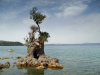Anguillara Sabazia (Province of Rome)