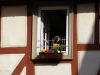 Germany © Igor Melika
