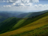 Полонина Боржава