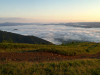 Ранок на Полонині Боржава. Вид з гори Плай - 1330 м