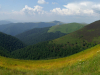 Полонина Боржава