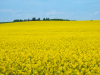 Україна