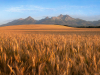 High Tatras