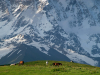 Georgia, Svaneti