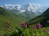 Georgia, Svaneti