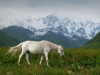 Georgia, Svaneti