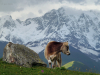 Georgia, Svaneti