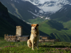 Georgia, Svaneti