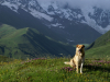 Georgia, Svaneti