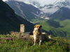 Georgia, Svaneti