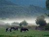 Bieszczady