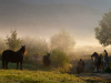 Bieszczady