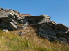 Bieszczady