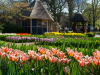 Netherlands