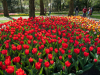 Netherlands