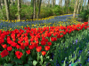 Netherlands