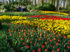 Netherlands