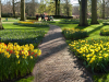 Netherlands