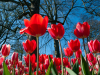 Netherlands