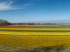 Netherlands