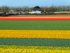 Netherlands