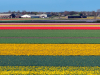 Netherlands