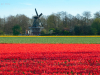 Netherlands