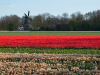 Netherlands
