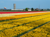 Netherlands