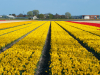 Netherlands