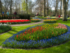 Netherlands