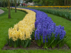 Netherlands
