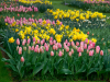 Netherlands