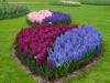 Netherlands