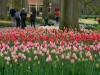 Netherlands