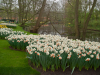 Netherlands