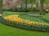 Netherlands