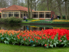 Netherlands