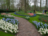 Netherlands