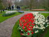 Netherlands