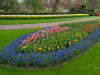 Netherlands