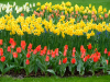 Netherlands
