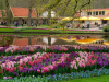 Netherlands