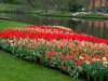 Netherlands