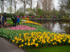 Netherlands