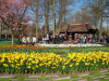 Netherlands