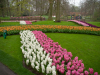 Netherlands