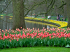 Netherlands