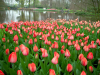 Netherlands